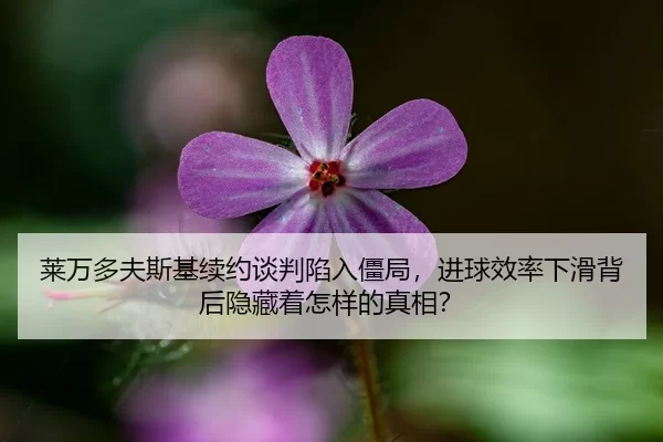 莱万多夫斯基续约谈判陷入僵局，进球效率下滑背后隐藏着怎样的真相？