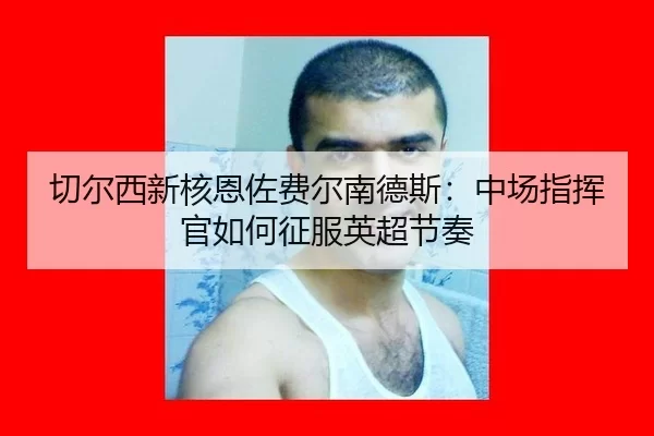 qie-er-xi-xin-he-en-zuo-fei-er-nan-de-si-zhong-chang-zhi-hui-guan-ru-he-zheng-fu-ying-chao-jie-zou-2-664.jpg